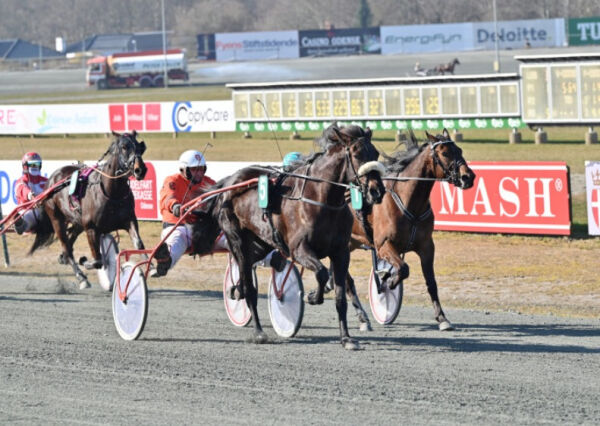 Lokkes ut, vil inn i styret og Derby-vinner avlivet