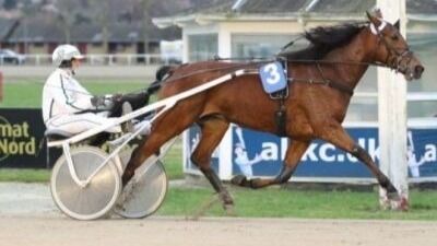 Dansk hoppe Derby-deltaker til Norge