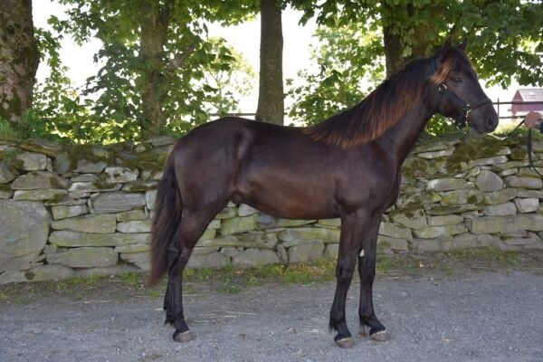 - En liten booster for oss