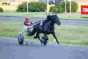 40 meter ingen hindring