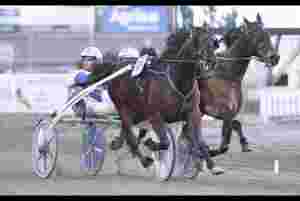Tre norske elitehester meldt i Paris