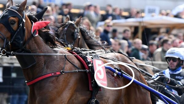 Fra seier til startforbud