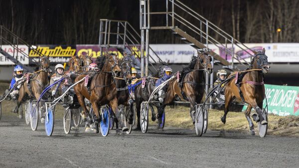 Mot 100 millioner til alenevinner
