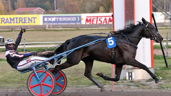 Får ikke kjøre, debut på 1.14 og Salte er klar