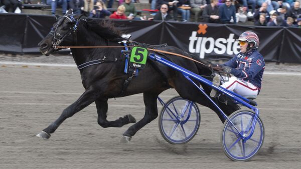 Nå trener millionæren igjen