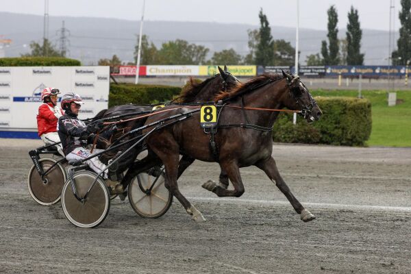 Seier i debuten