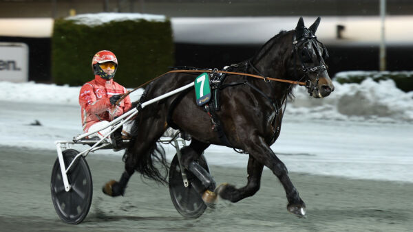 - Kanskje han er en ny Elding