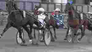 Topphopper hedrer Rex'en