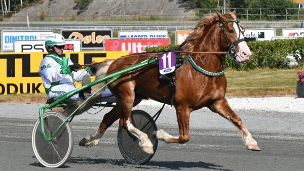 Uønsket, skitne bokser og millionfeil