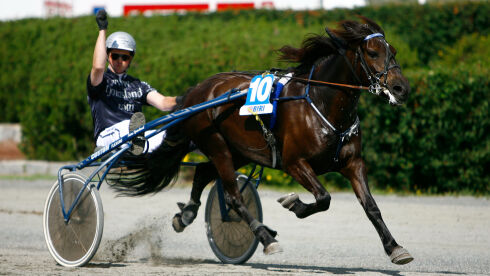 Topphoppa har vandret videre