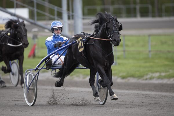 Flyttet fra Bergh, PdA-start og svensketur