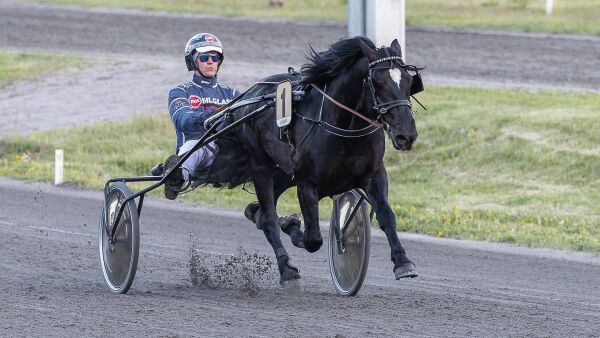 Overlegen treårs debutant