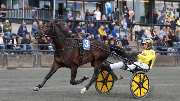 Flytter auksjonsløpet