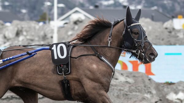 Alternativt og ridetrening ordnet aksjonen