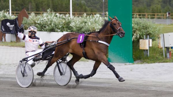 - En fryktelig god hest