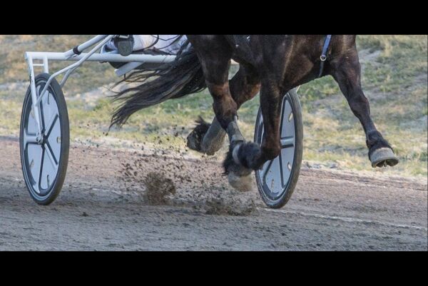 Mener feil hest startet