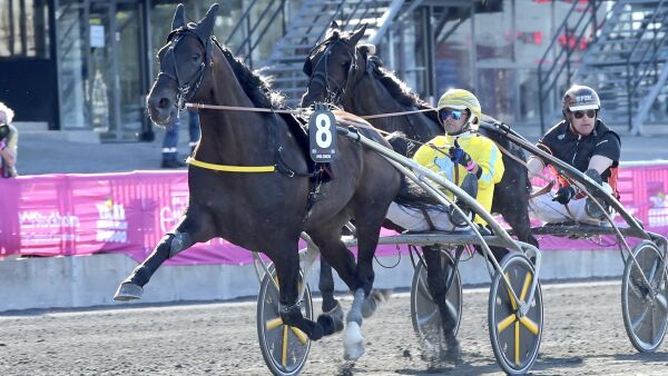 Saftige bøter for franskmannen