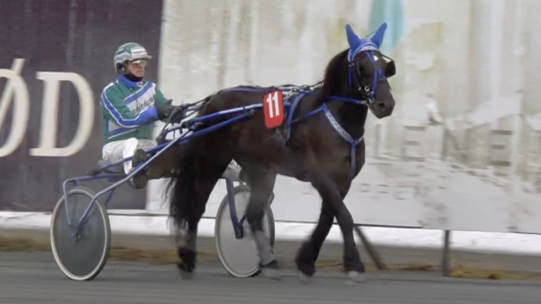 - Måtte kjøre hest ned oppløpet