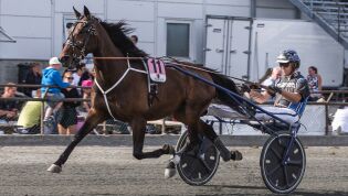 Vant 37 løp over syv sesonger