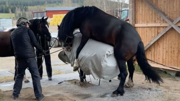Kan bli den første på mange år