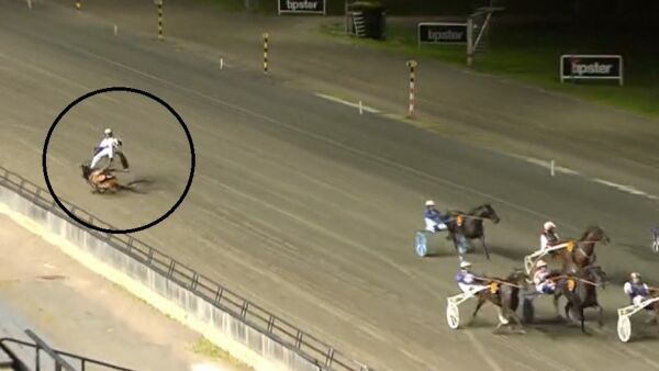 Stupte i banen