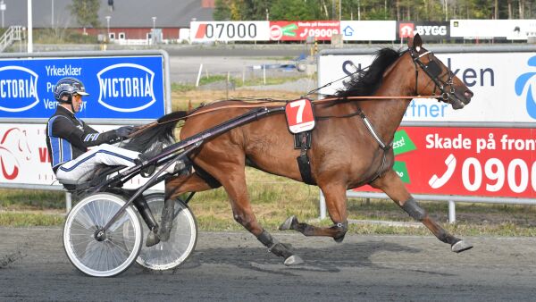 - Nå blir det en liten pause