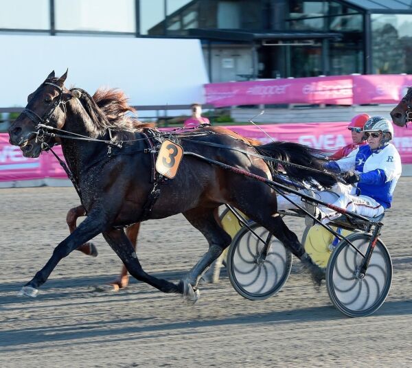 - Førstepremien er for liten