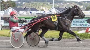 Vinnerhest til Erga