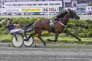 Flott av Floris, skylder over 20 millioner og Svanstedt til Elitloppet likevel