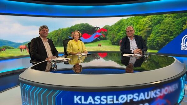 Presenterer hestene