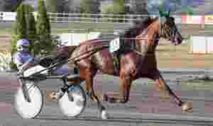 Flashing Boko avlivet