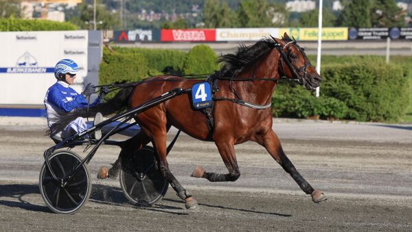 - Vi ville ikke behandle den