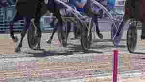 Drivingen i Elitloppet kostet dyrt
