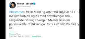 Hest avlivet etter ulykke