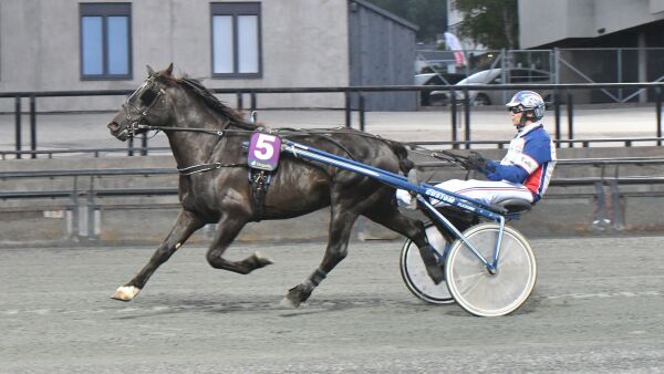 Ga forbud mot start og innmelding