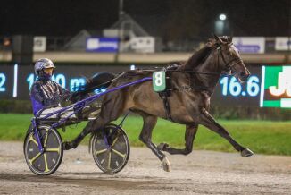 Flott V75 Xpress omgang venter