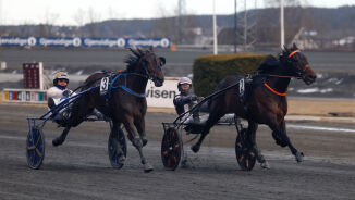 Dyr dag for glemske svensker