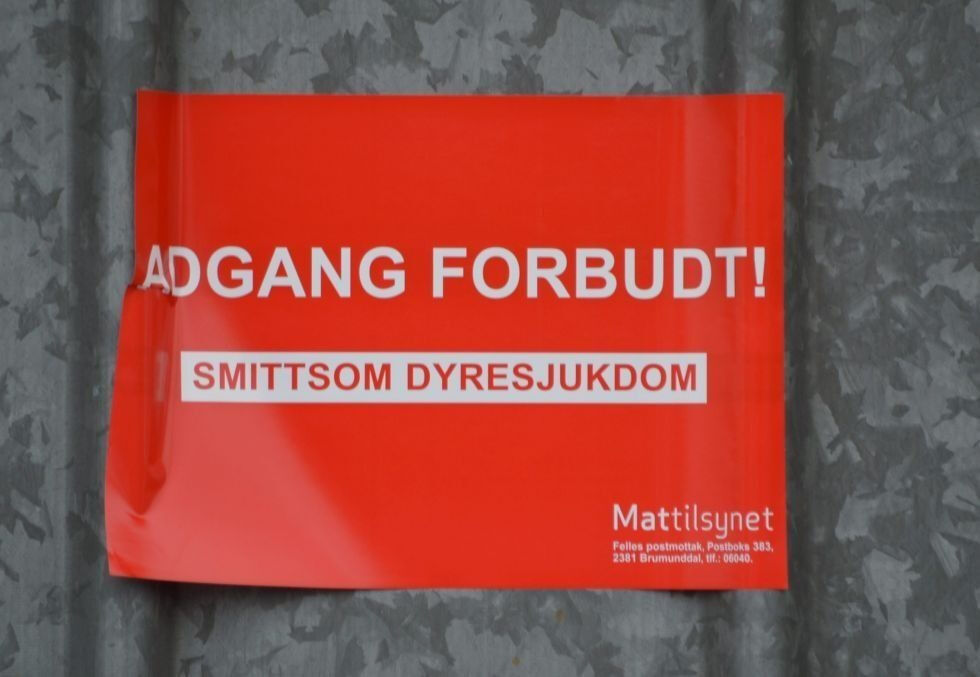 Det er påvist flere tilfeller av kverke i Lofoten.