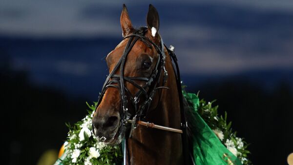 Flytter Ecurie D