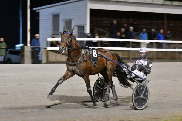 Travfilm, nummer 51 og fant formen