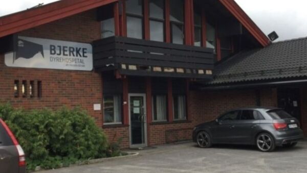 Merkevarebygging av Rikstoto