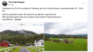 - Etterlyser heste- og travinteressert jente