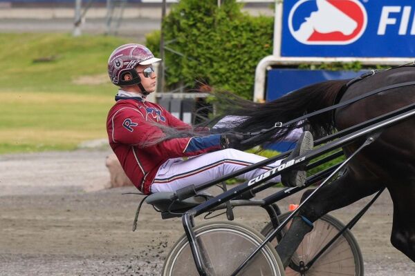 Rasmussen til Steine