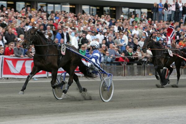 Edle franske linjer