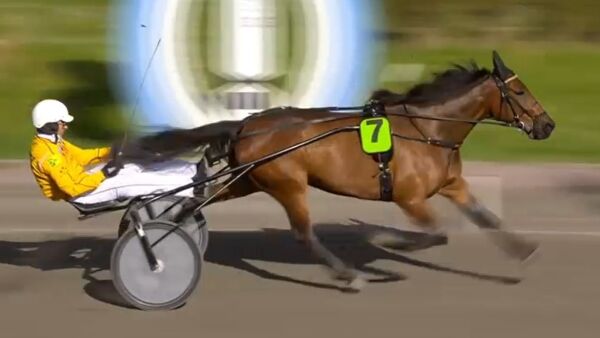 Kan koste Elitlopps-billett