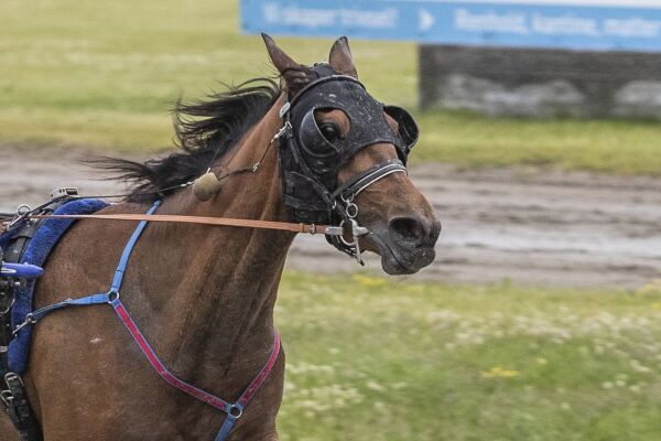 - Som vi fryktet på forhånd