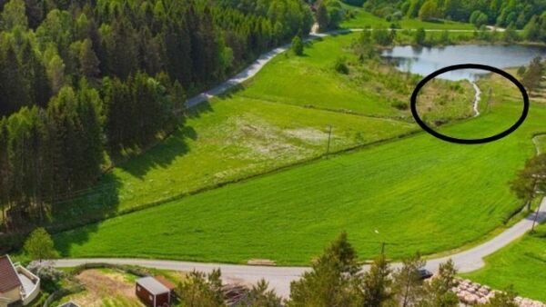 Kaldblodsen måtte reddes av brannvesenet