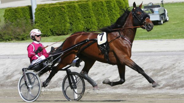 Blir stallkompis med norskeid topphest