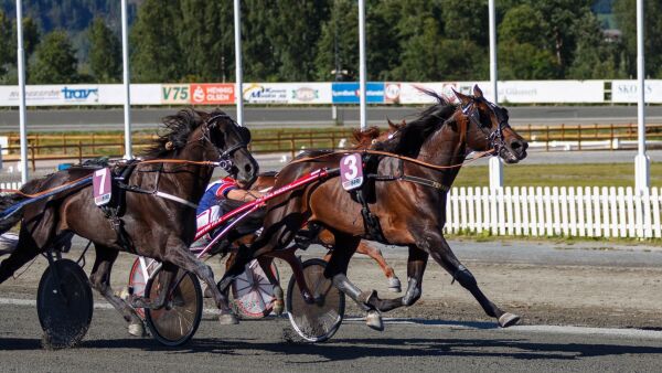 Varsler slutt for Ferrari B.R.