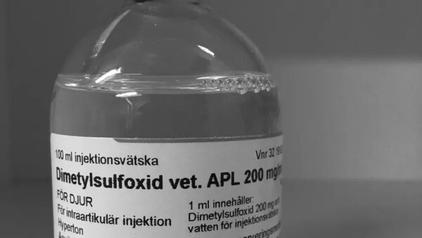 Påtale etter DMSO-funn